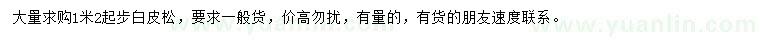 求購1米2白皮松