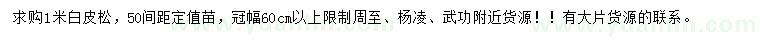 求購1米白皮松