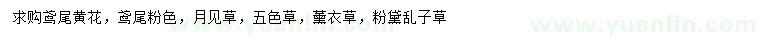 求購鳶尾、月見草、五色草等