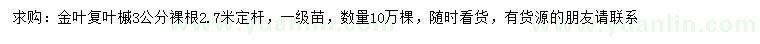 求購(gòu)3公分金葉復(fù)葉槭