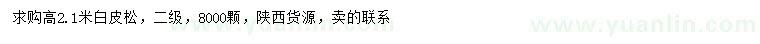 求購高2.1米白皮松