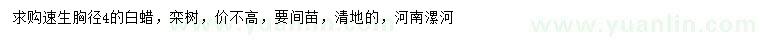 求購胸徑4公分白蠟、欒樹