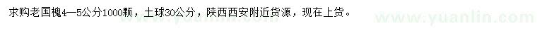 求購4至5公分老國槐