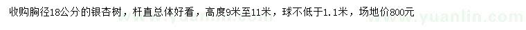 求購胸徑18公分銀杏