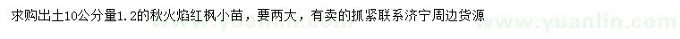 求購1.2的秋火焰紅楓