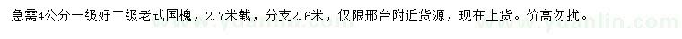 求購4公分國槐