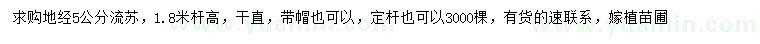 求購地徑5公分流蘇