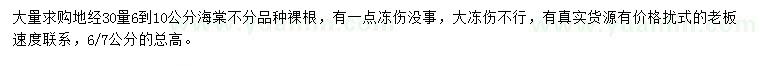 求購(gòu)6到10公分海棠