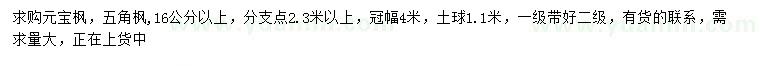 求購(gòu)16公分以上元寶楓、五角楓