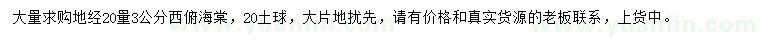求購地經(jīng)3公分西府海棠