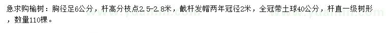 求購胸徑6公分榆樹
