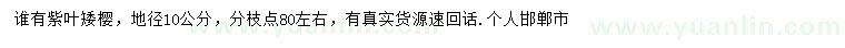 求購地徑10公分紫葉矮櫻