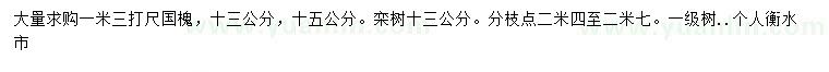 求購13、15公分國槐、13公分欒樹