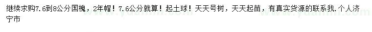 求購7.6到8公分國槐