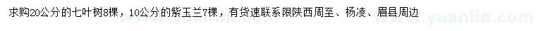 求購20公分七葉樹、10公分紫玉蘭