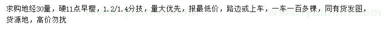 求購30量11公分早櫻