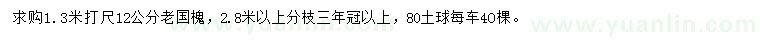 求購12公分老國槐