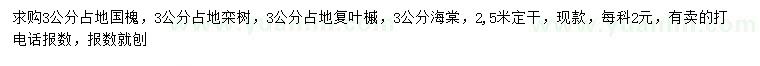 求購國槐、欒樹、復(fù)葉槭等