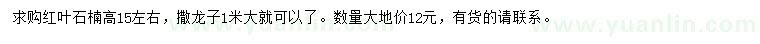 求購高15公分左右紅葉石楠