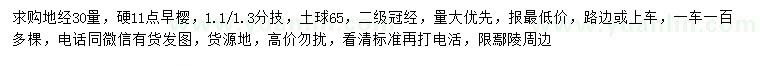 求購地徑30量硬11公分早櫻