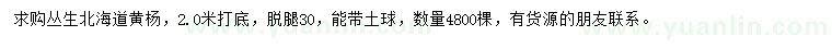 求購叢生北海道黃楊