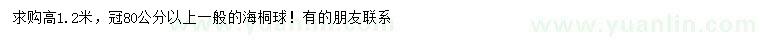 求購高1.2米海桐球