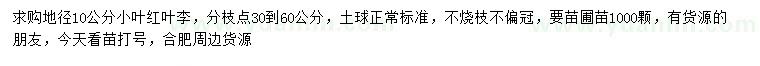 求購地徑10公分紅葉李