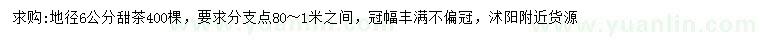 求購地徑6公分甜茶