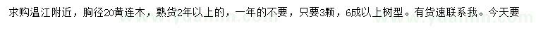 求購胸徑20公分黃連木