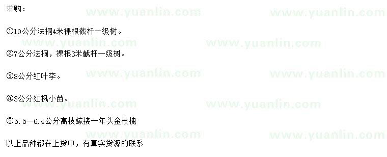 求購法桐、紅葉李、紅楓小苗等