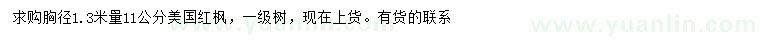 求購胸徑1.3米量11公分美國紅楓