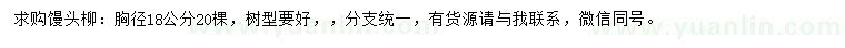 求購：胸徑18公分饅頭柳