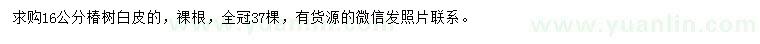 求購(gòu)16公分椿樹