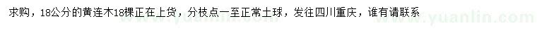 求購18公分黃連木