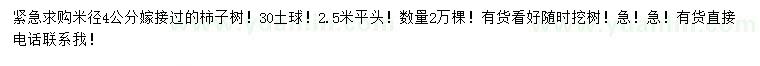 求購米徑4公分柿子樹