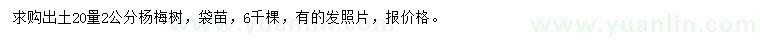 求購(gòu)出土20量2公分楊梅樹(shù)