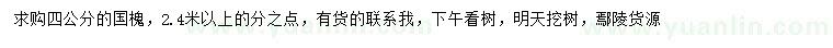 求購4公分國槐