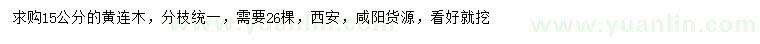 求購15公分黃連木