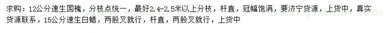 求購12公分速生國槐、15公分速生白蠟