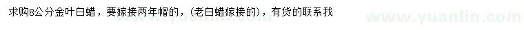 求購8公分金葉白蠟
