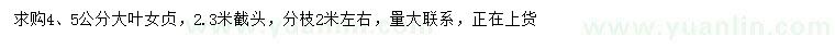 求購4、5公分大葉女貞