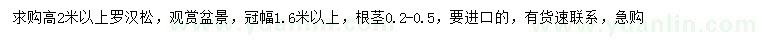 求購高2米以上羅漢松