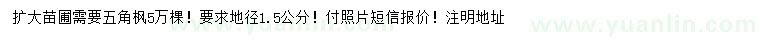 求購地徑1.5公分五角楓