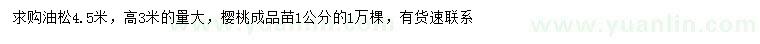 求購4.5米油松、1公分櫻桃樹