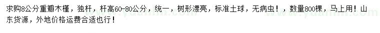 求購(gòu)8公分重瓣木槿