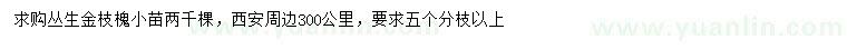 求購叢生金枝槐