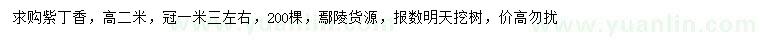 求購高2米紫丁香