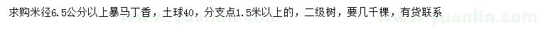 求購(gòu)米徑6.5公分以上暴馬丁香