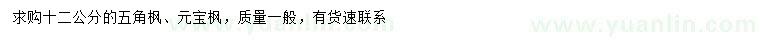 求購(gòu)12公分五角楓、元寶楓
