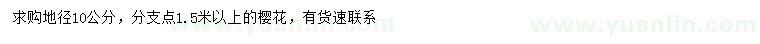 求購地徑10公分櫻花